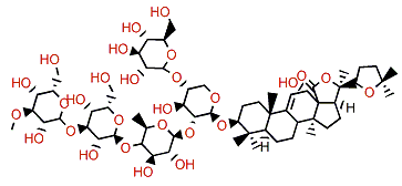 17-Dehydroxyholothurinoside A